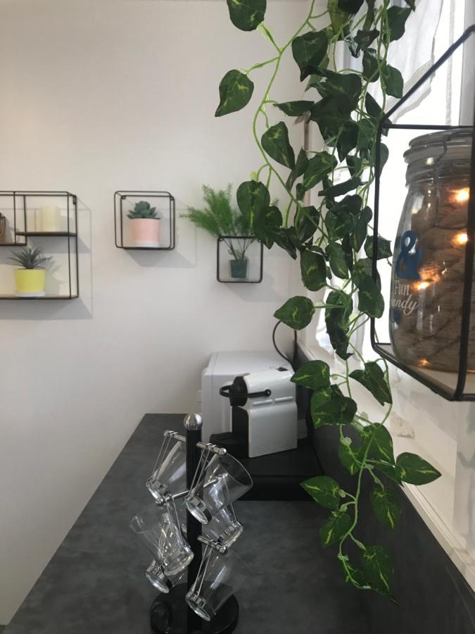 Maison 4 Chambres Jardin Et Parking Déols 外观 照片